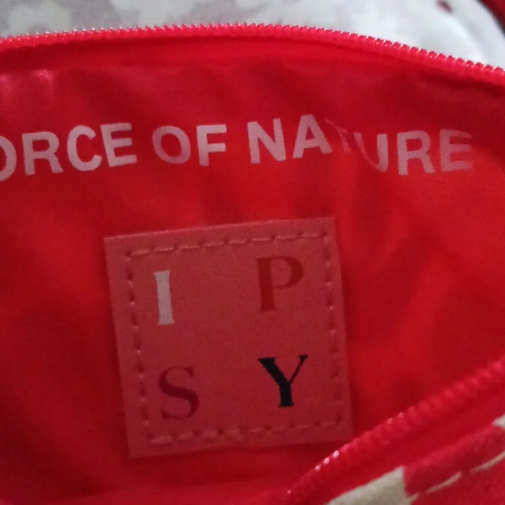 Ipsy
